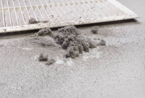 Best Air Duct Cleaning Near Me  in Mannington, WV