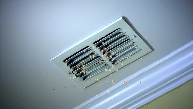 Best Affordable Duct Cleaning Services  in Mannington, WV